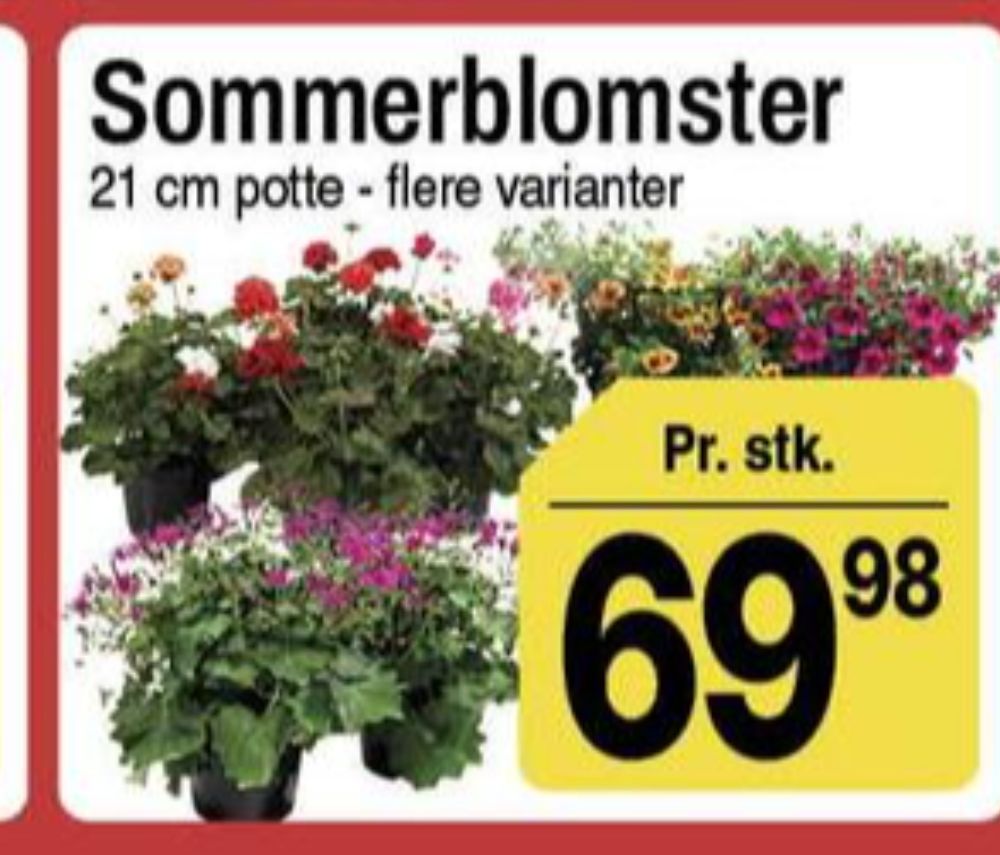 Planter