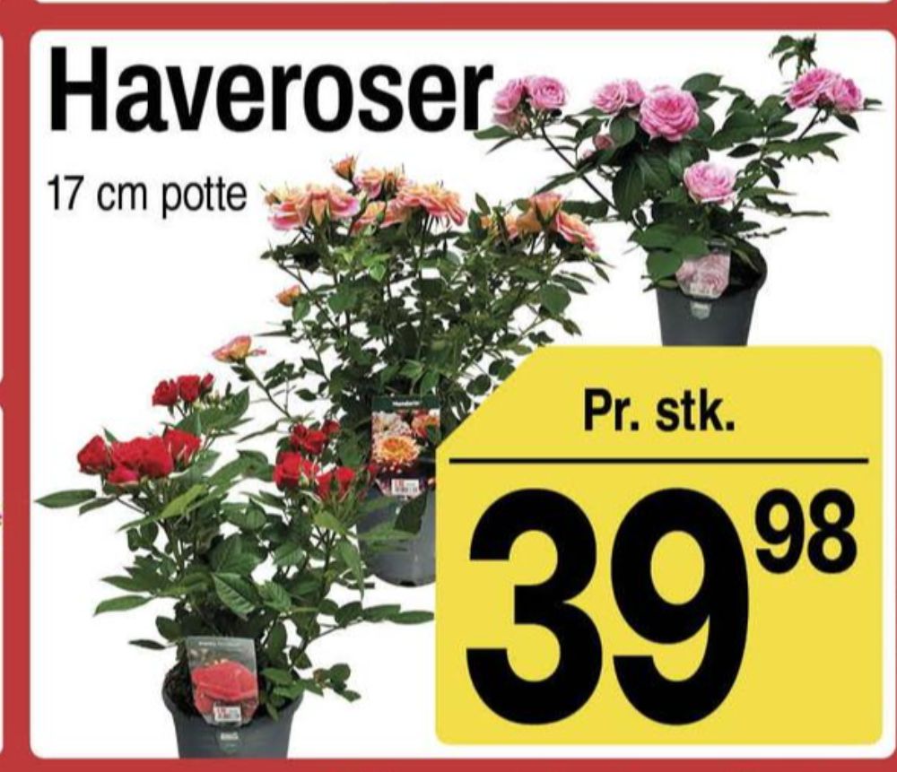 Planter