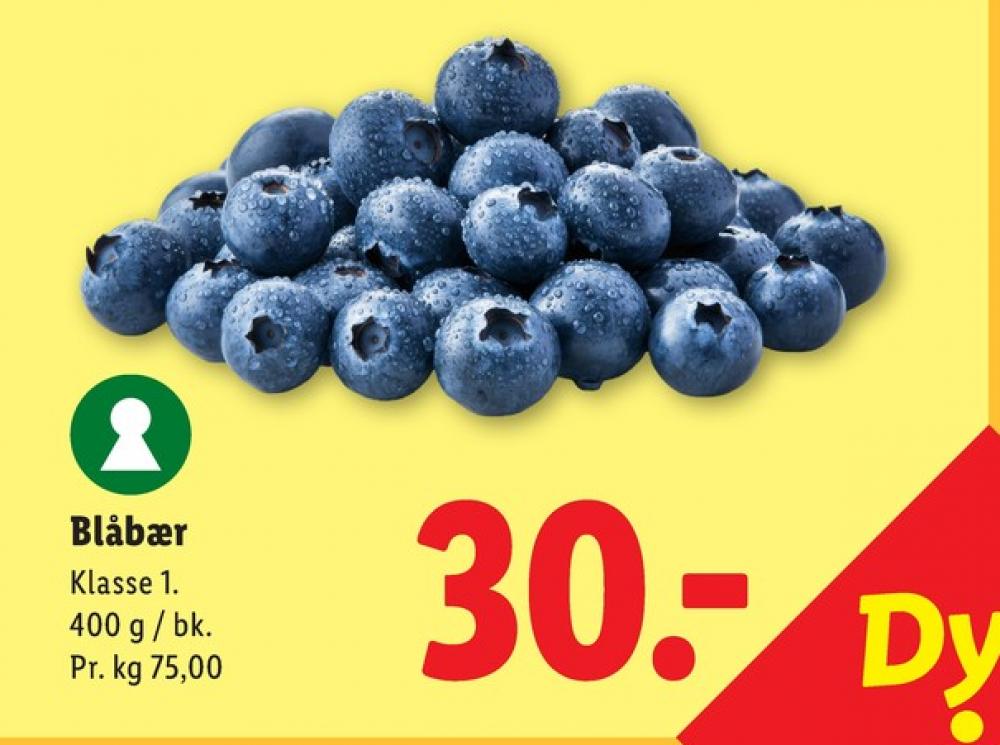 Blåbær