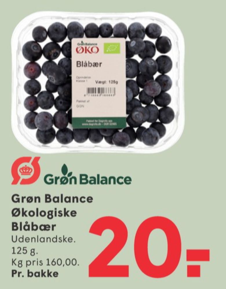 Grøn Balance, Blåbær
