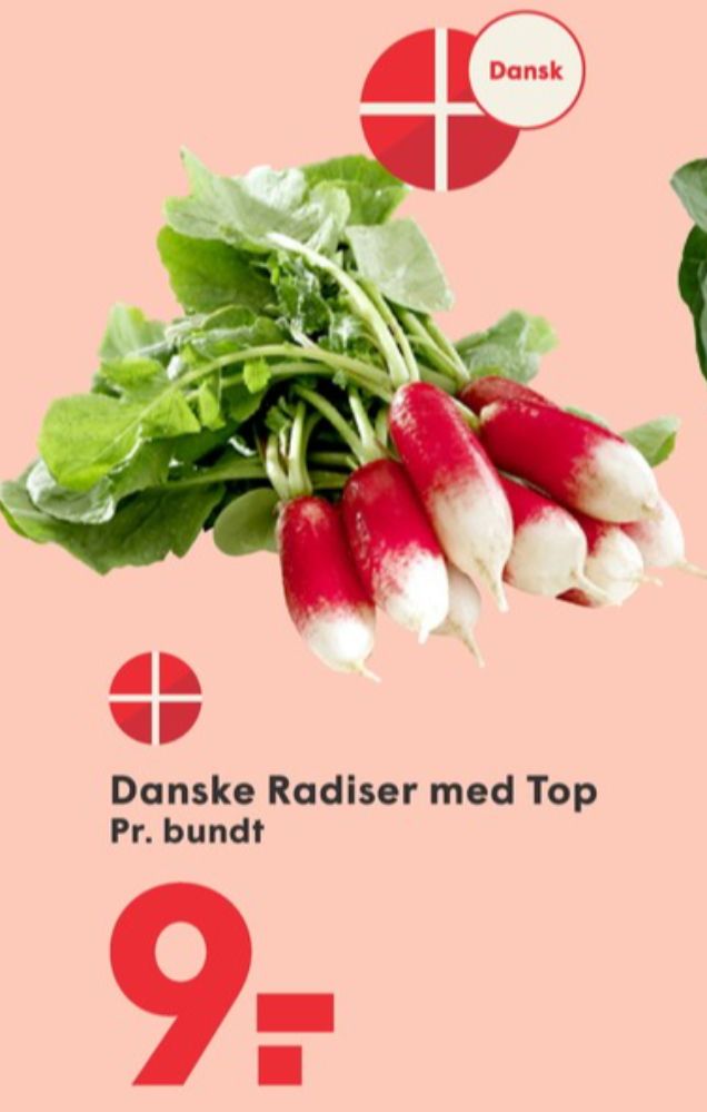 Radiser