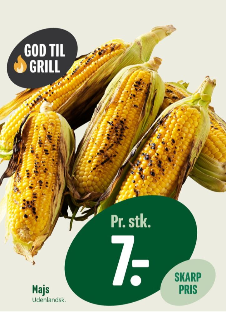 Majskolbe