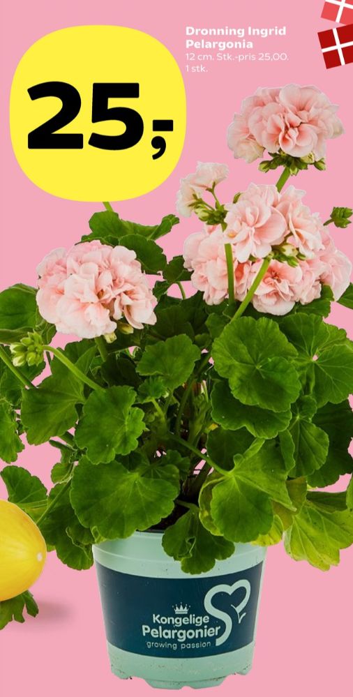 Planter