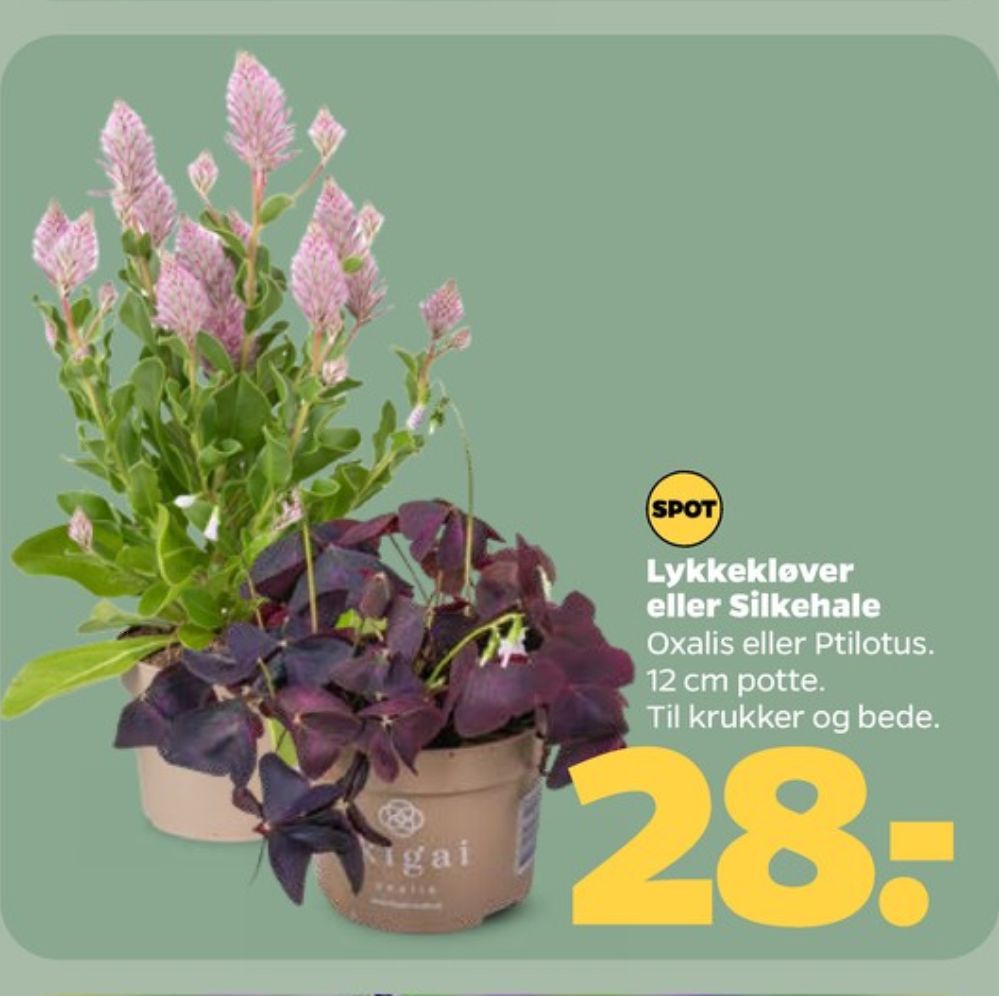 Planter