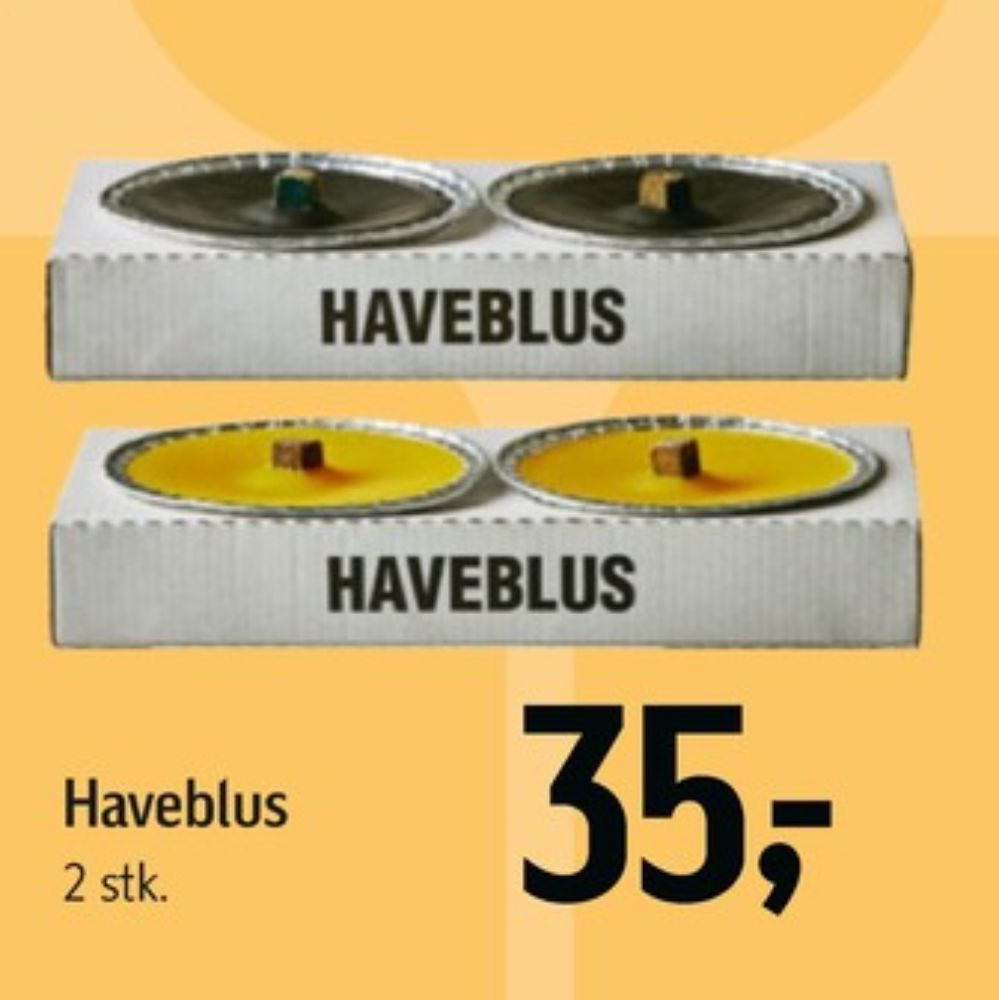 Haveblus