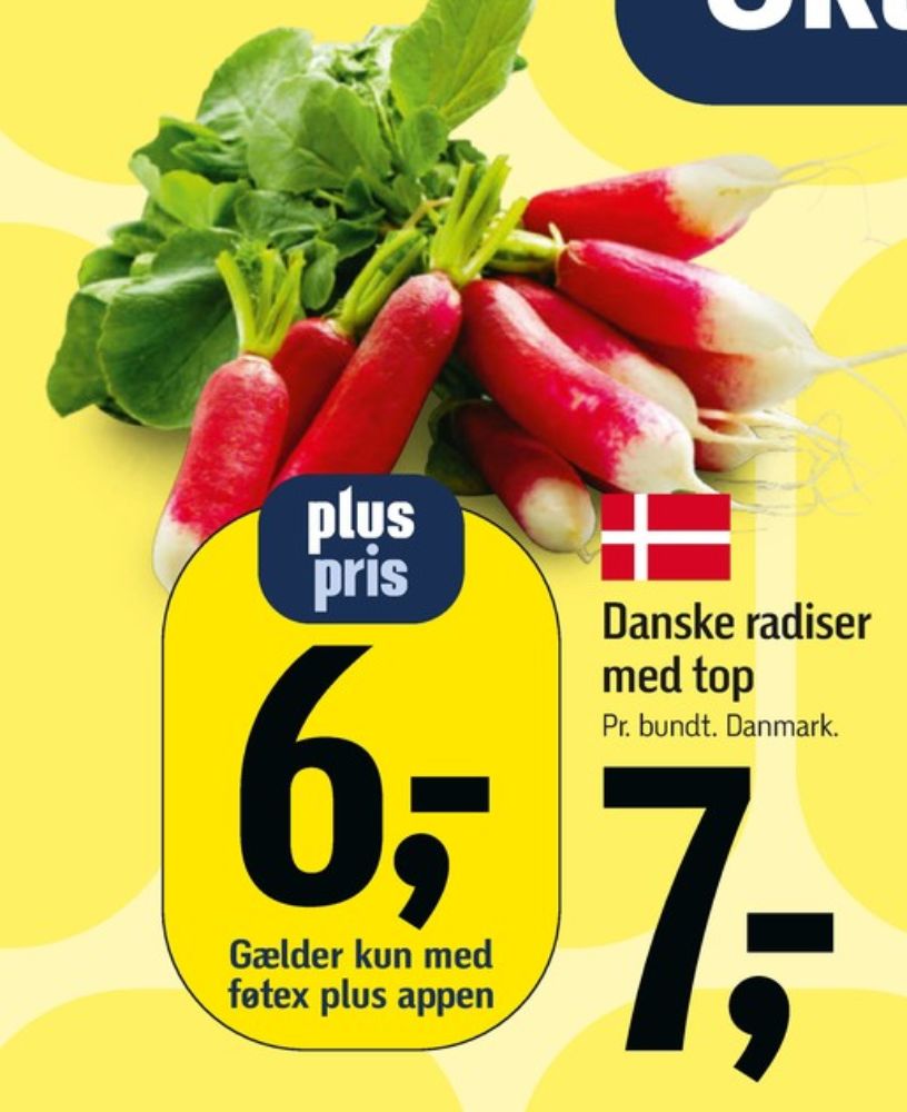 Radiser