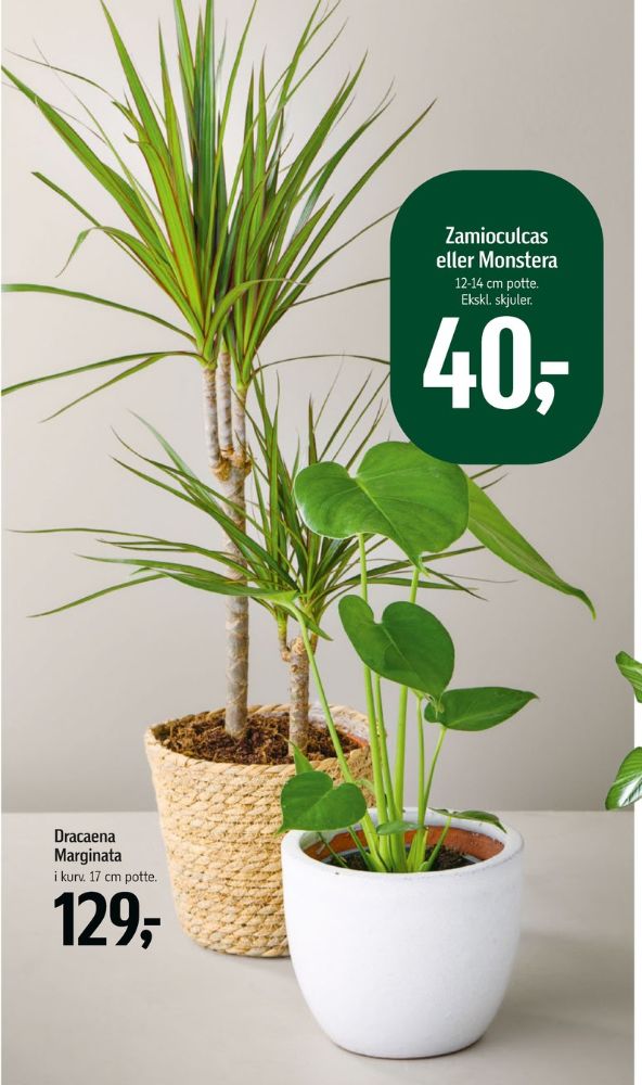 Planter