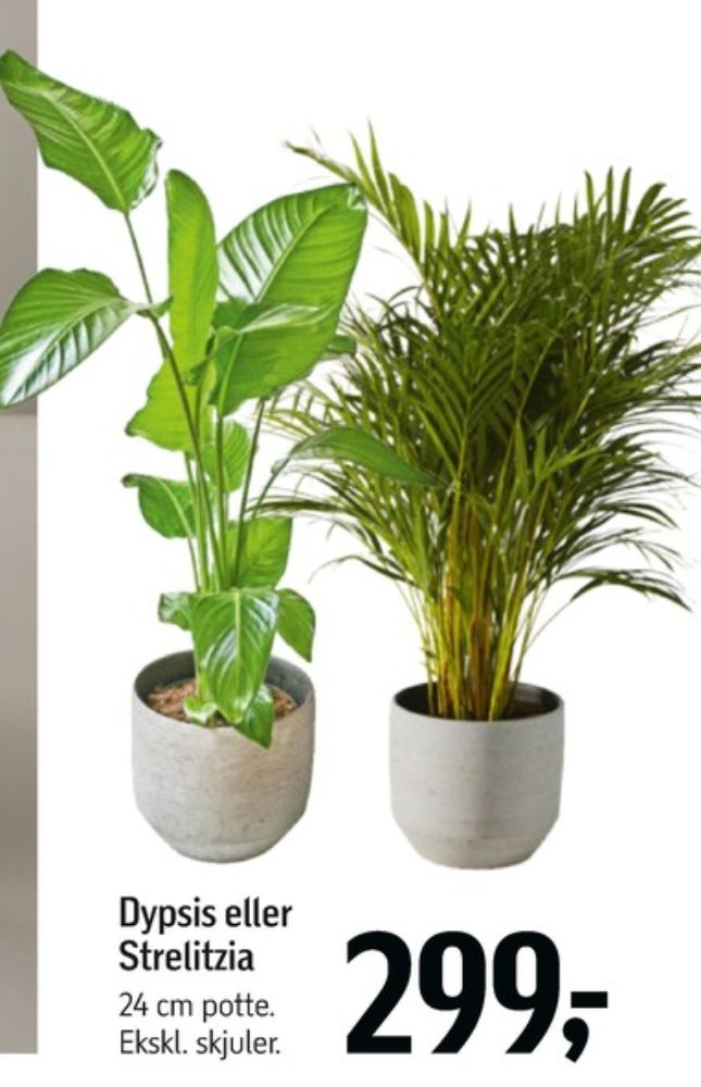 Planter