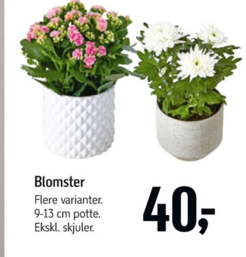 Planter