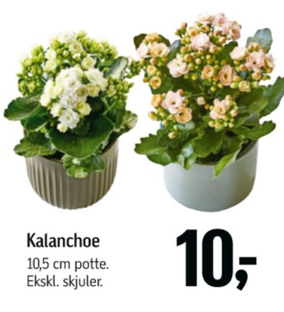Planter