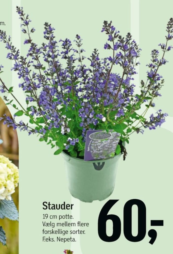 Planter