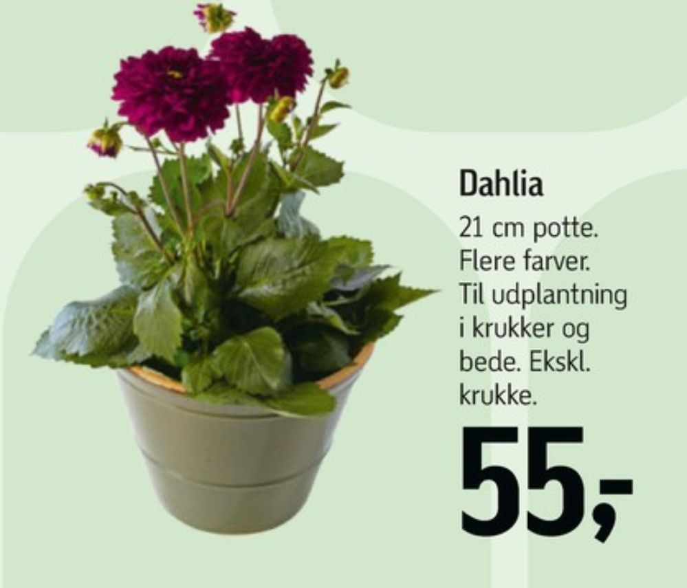 Planter