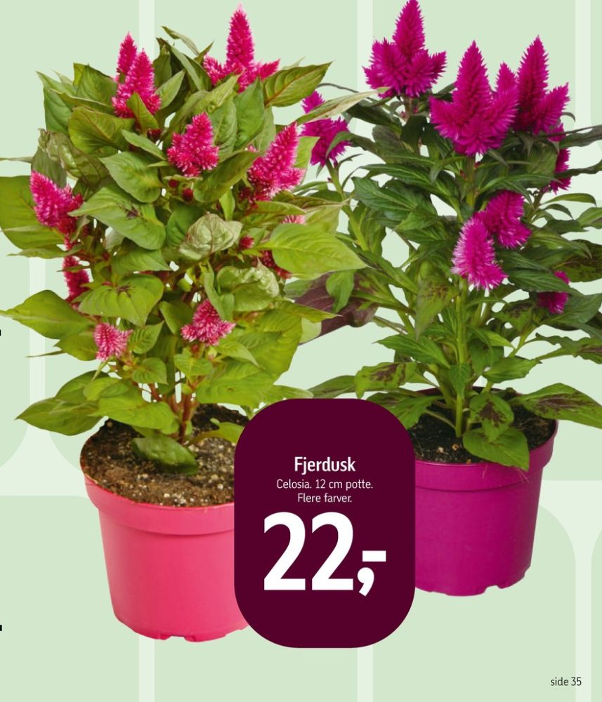 Planter