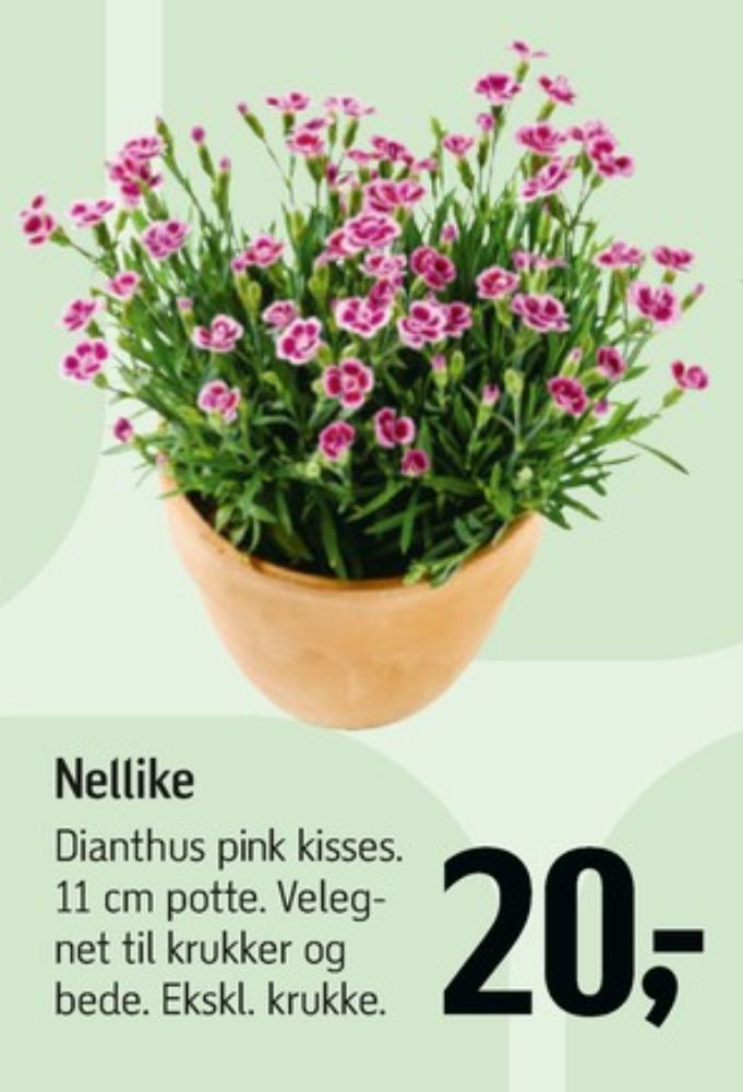 Planter