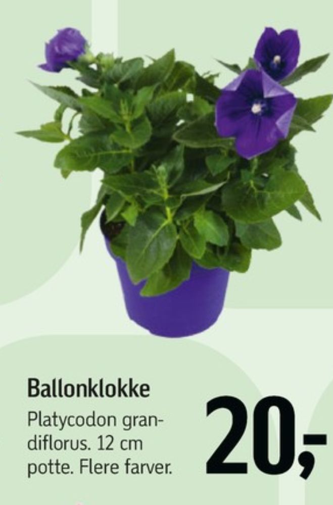 Planter