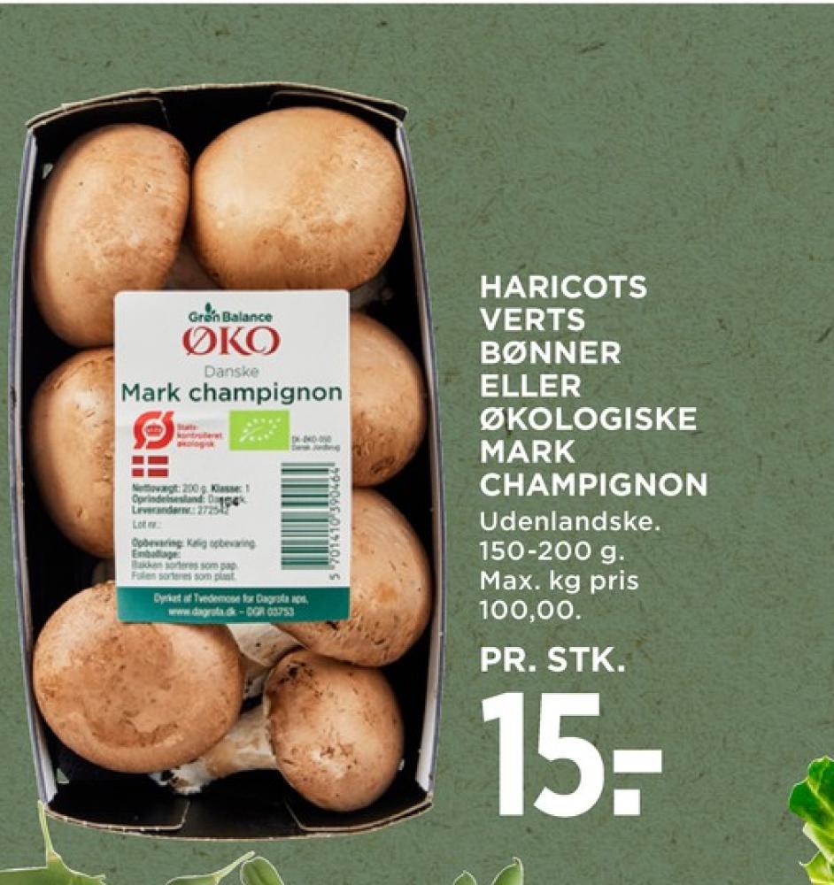 Grøn Balance, Champignon