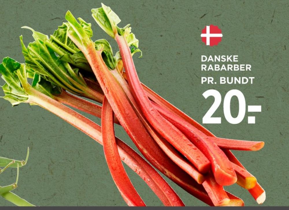Rabarber