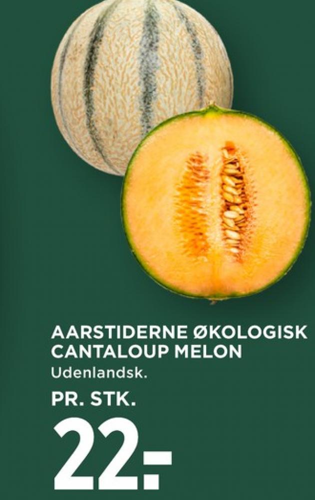 Aarstiderne, Cantaloupemelon