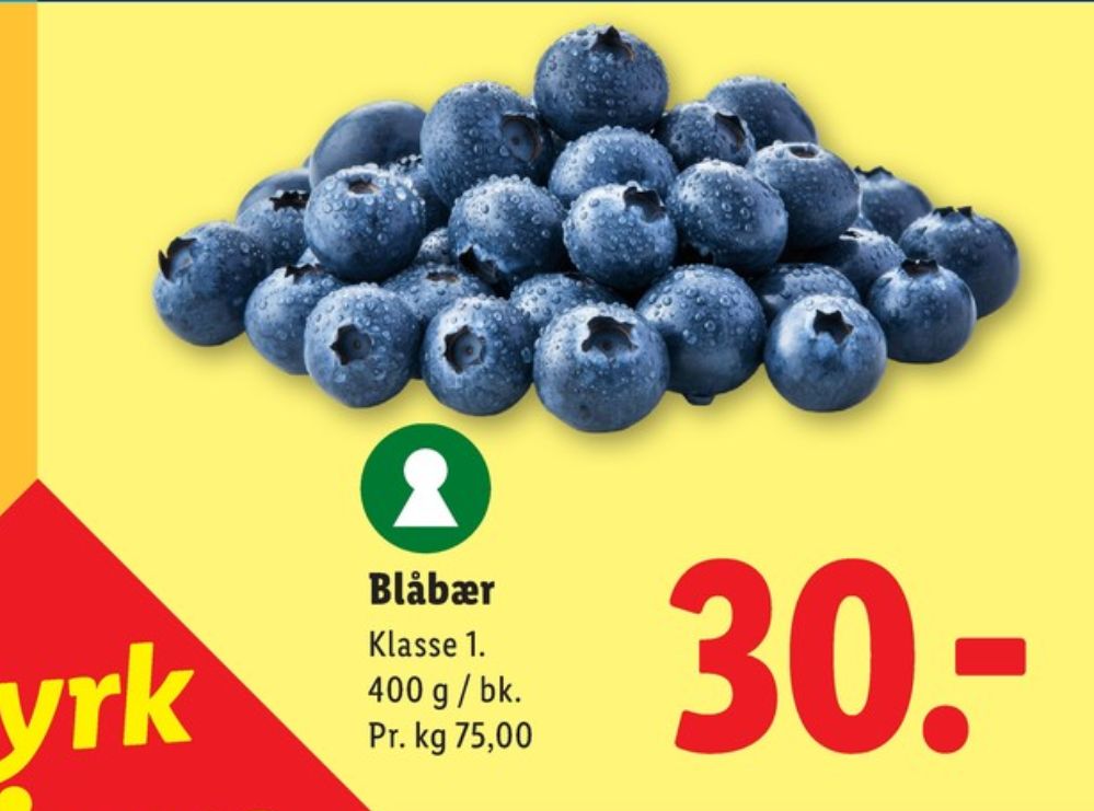 Blåbær