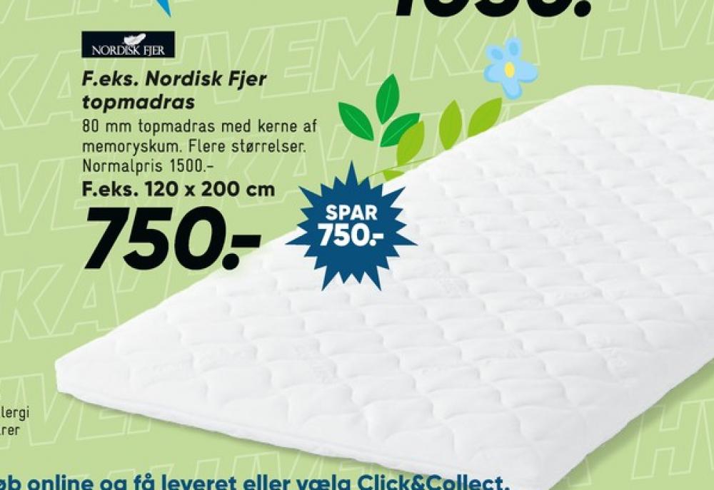 Nordisk Fjer, Topmadras