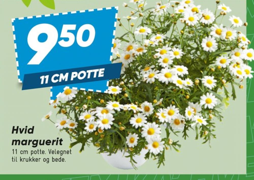 Planter