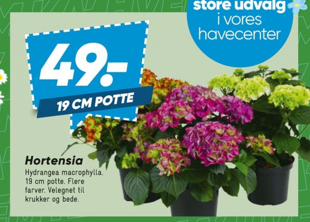 Planter