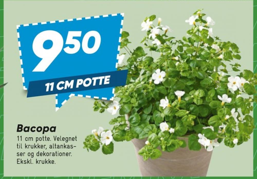 Planter
