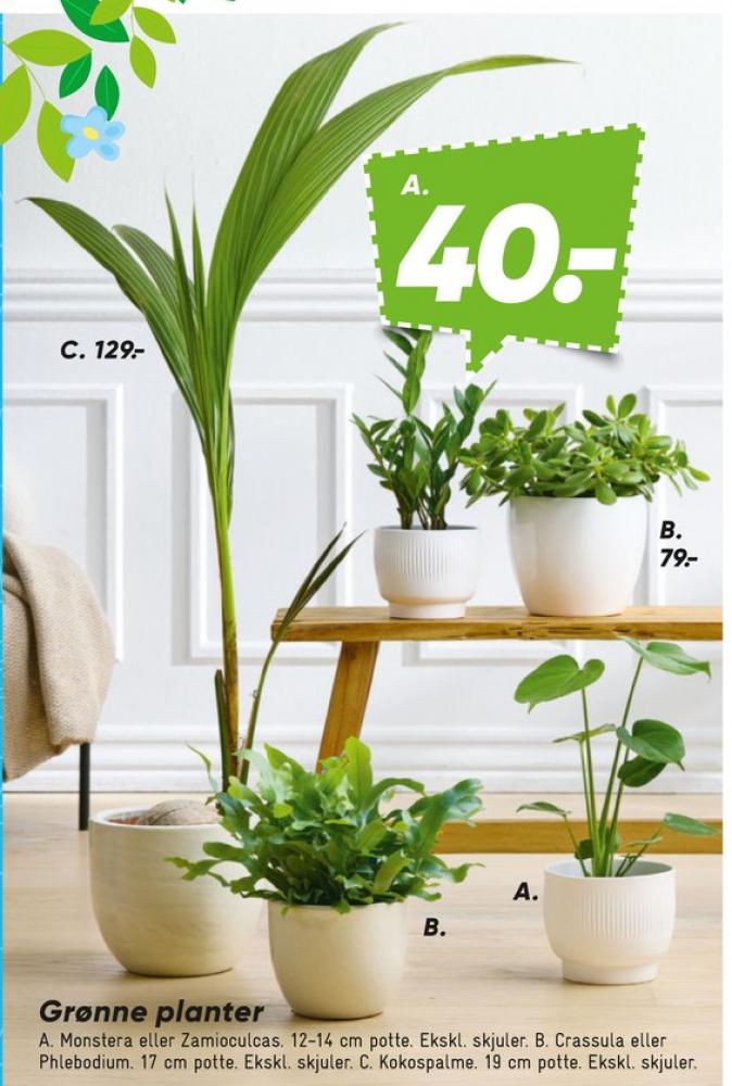 Planter