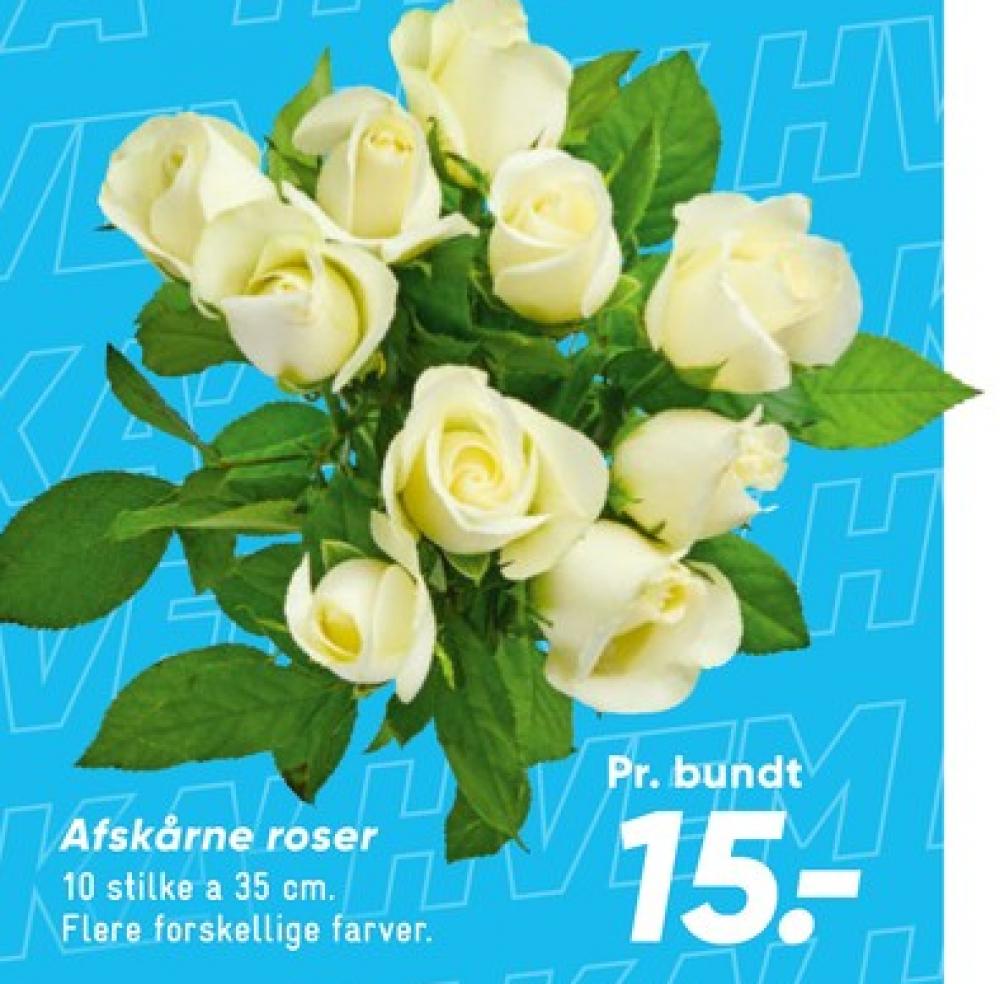 Buket