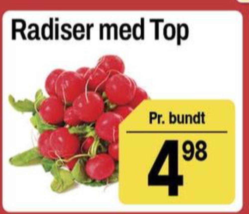 Radiser