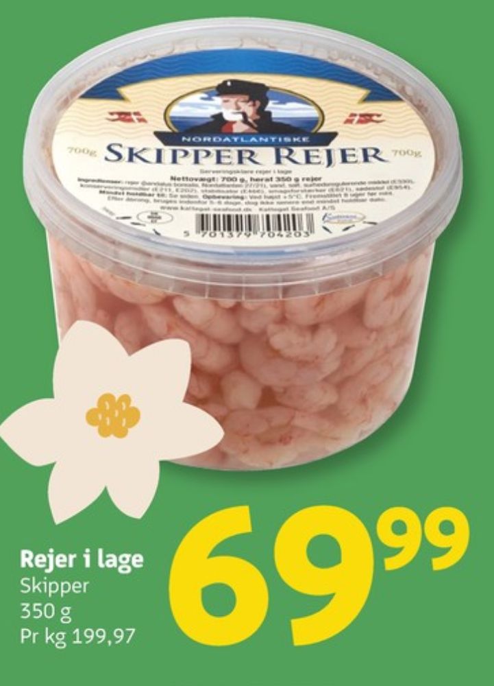 Skipper, Rejer