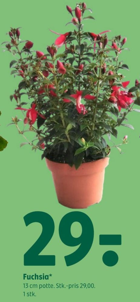 Planter