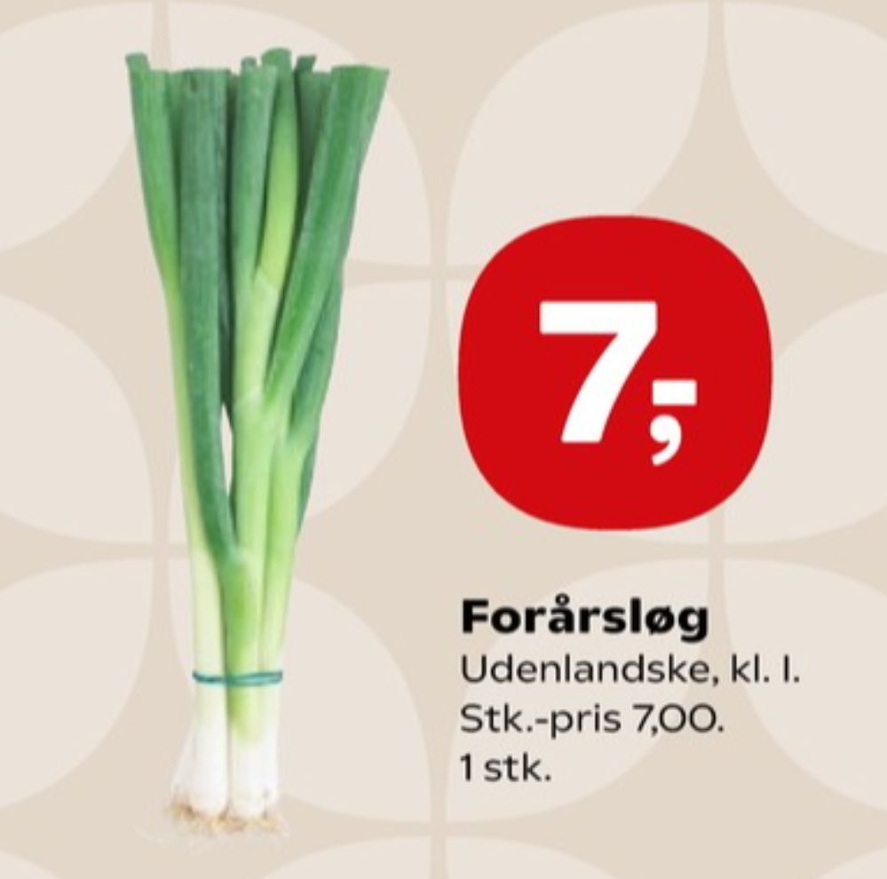 Forårsløg