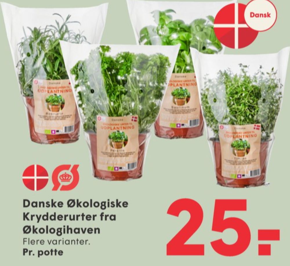 Grøn Balance, Krydderurter