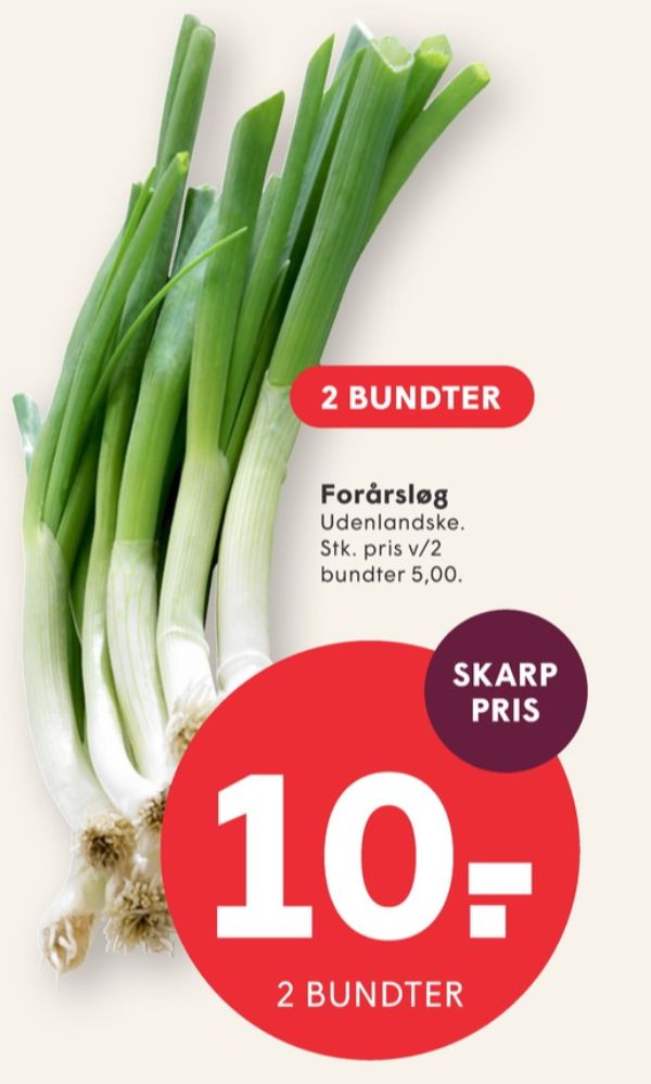 Forårsløg