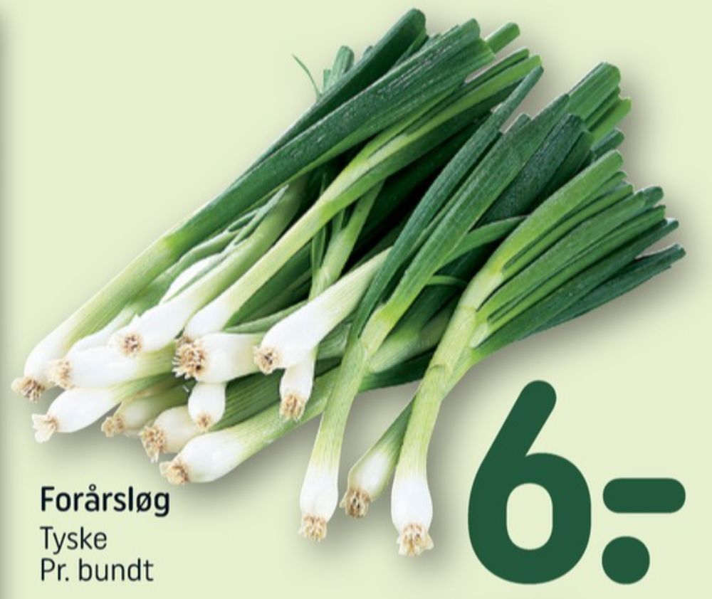 Forårsløg