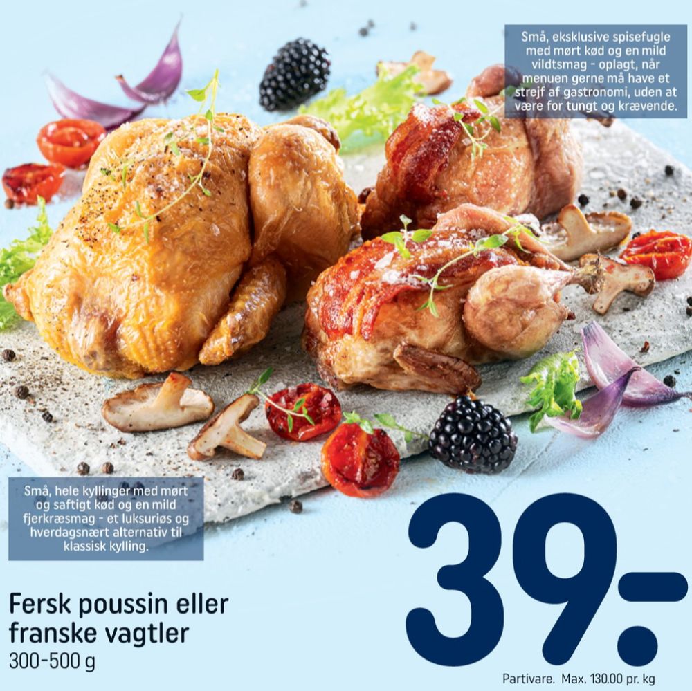 Poussin