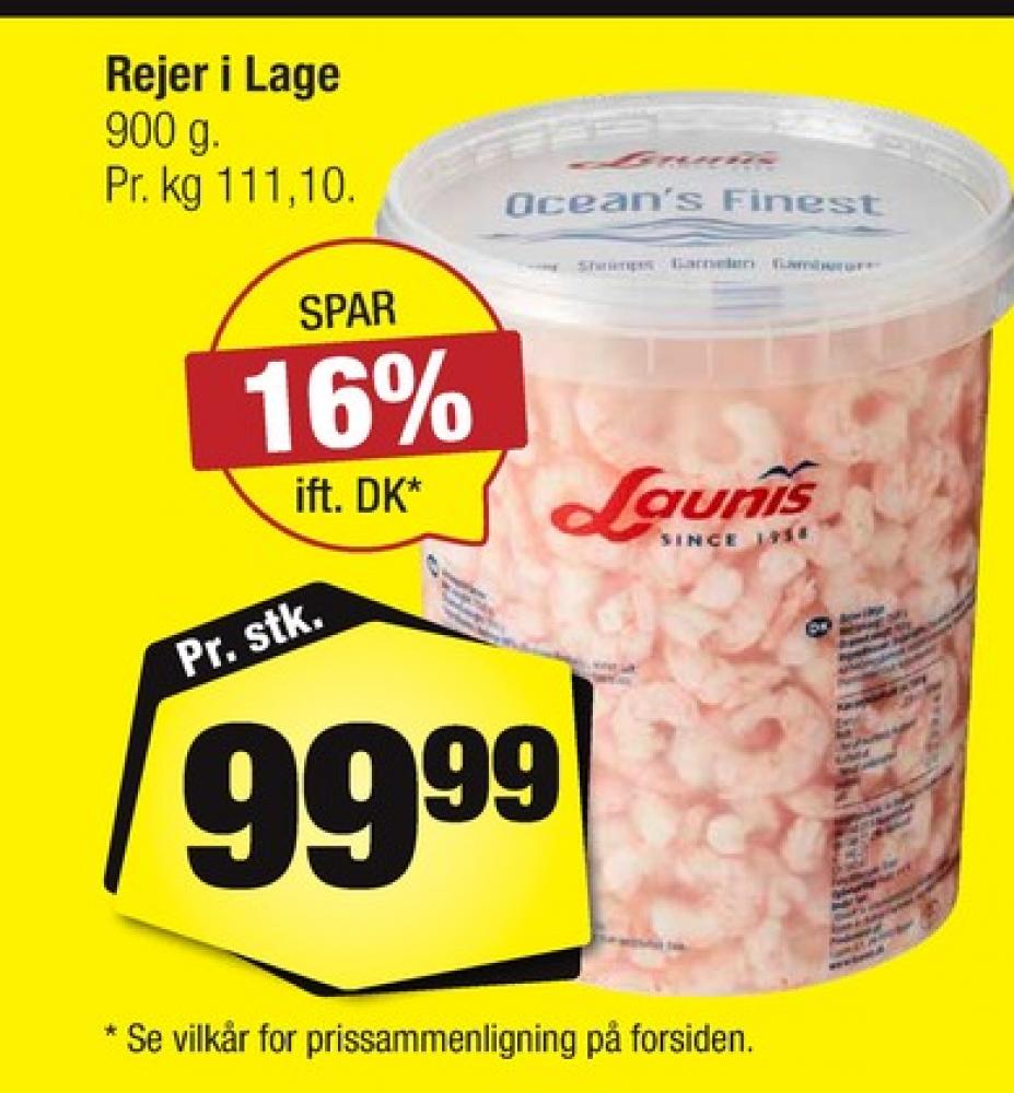 Launis, Rejer