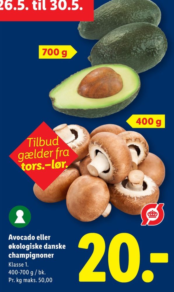 Avocado