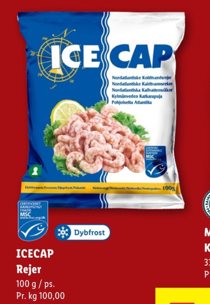 Ice Cap, Rejer