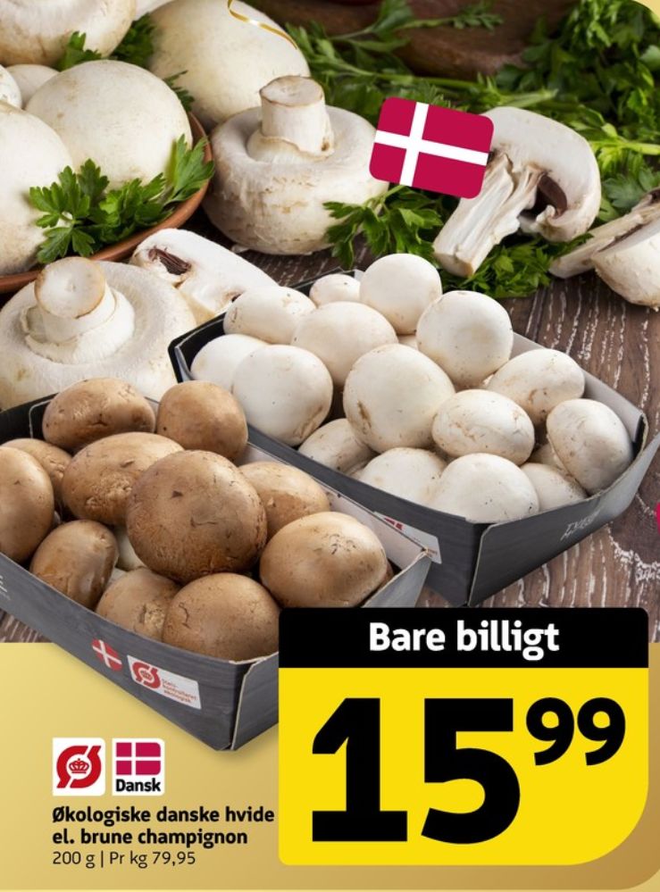 Champignon