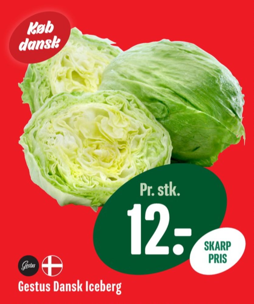 Gestus, Icebergsalat