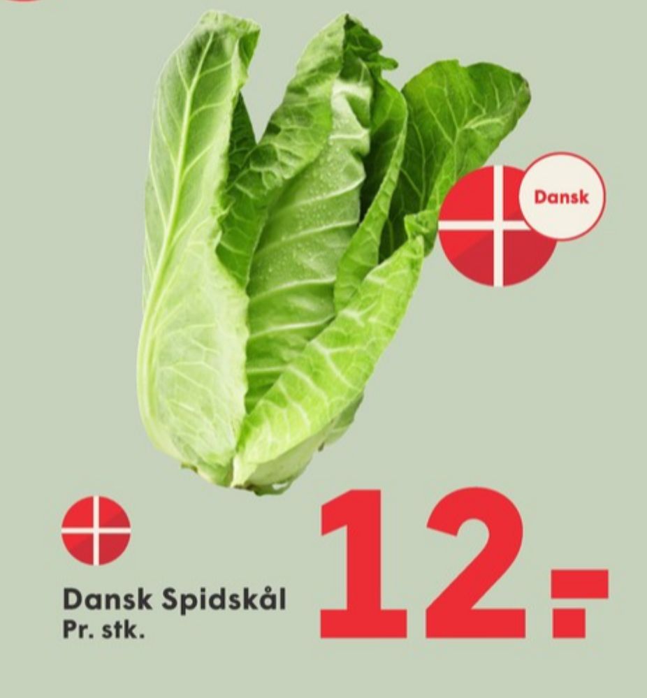 Spidskål