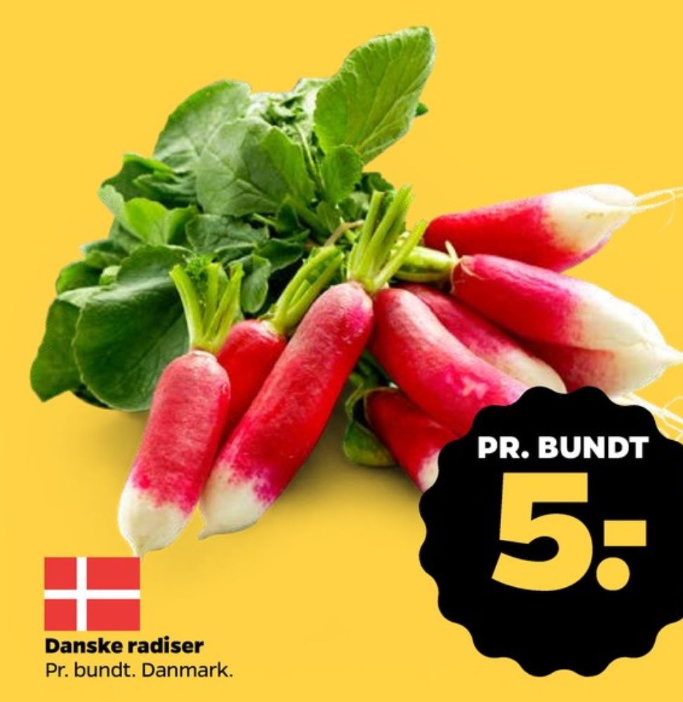 Radiser