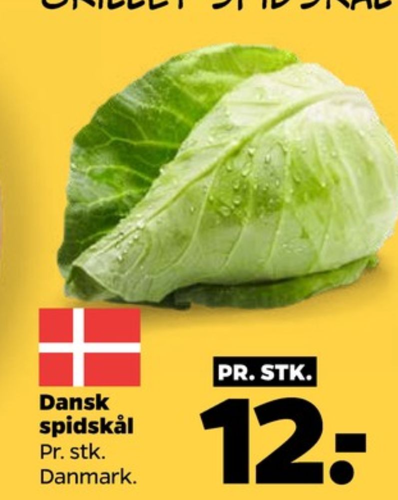 Spidskål