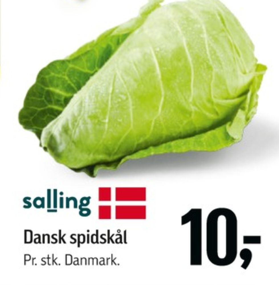 Salling, Spidskål