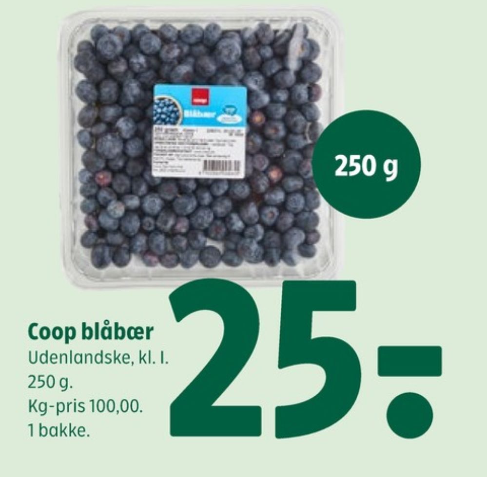 Coop, Blåbær