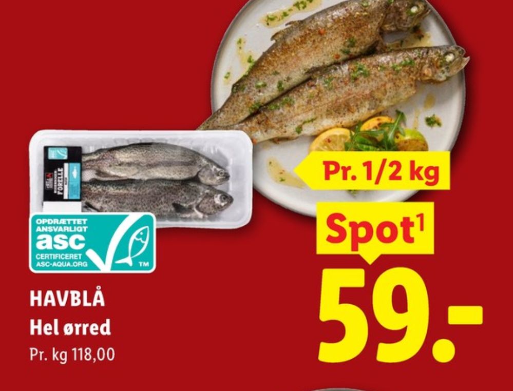 Havblå, Ørred
