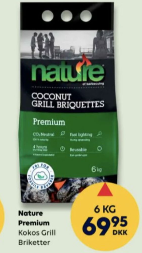 Nature, Grillbriketter
