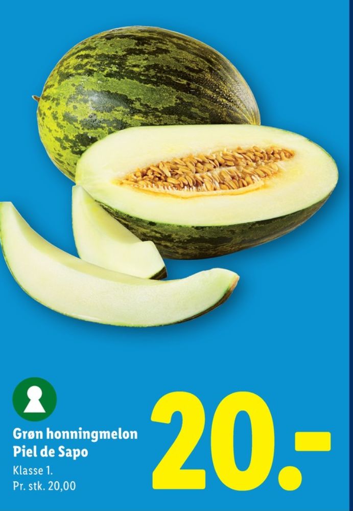 Piel De Sapo melon